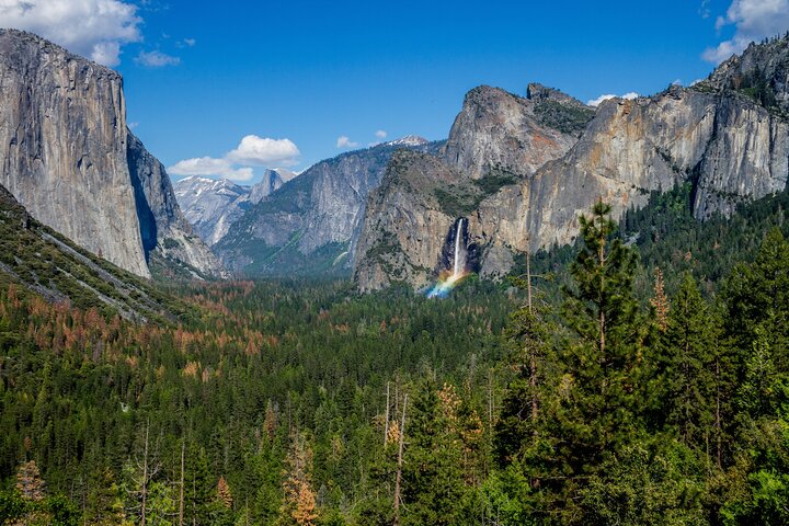 Yosemite and Giant Sequoias Day Tour