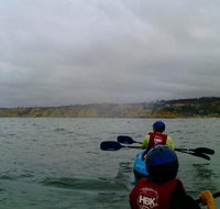 La Jolla Whale Watching Kayak Adventure - Accommodation Philadelphia