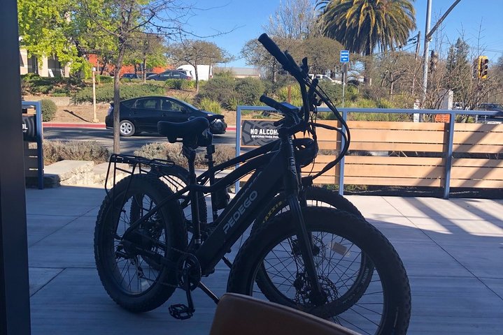 Pedego Electric Bike Rentals