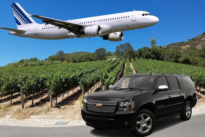 5 Hour - Half-Day Wine Tour With Airport Transfer From Sonoma or Napa