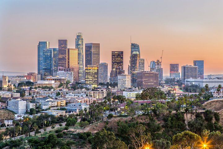 Arrival Private Transfer: Airport LAX To Los Angeles In Luxury SUV - thumb 2