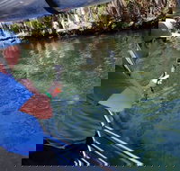 Manatee Viewing Cruise - Accommodation Philadelphia