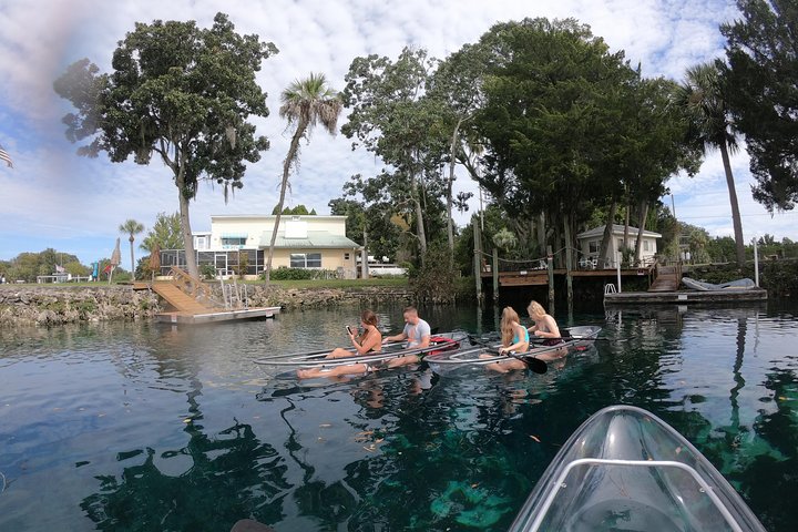 Clear Kayak Tour Of Crystal River - thumb 2