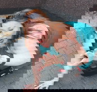 Fun City Scavenger Hunt in Hartford by Zombie Scavengers - Accommodation Philadelphia