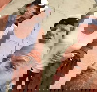 Explore Hartford with a Unique Scavenger Hunt by Crazy Dash - Accommodation Philadelphia