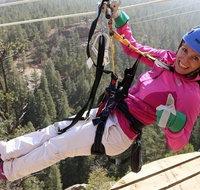 Fins Course Scenic Zipline Tour - Accommodation Philadelphia