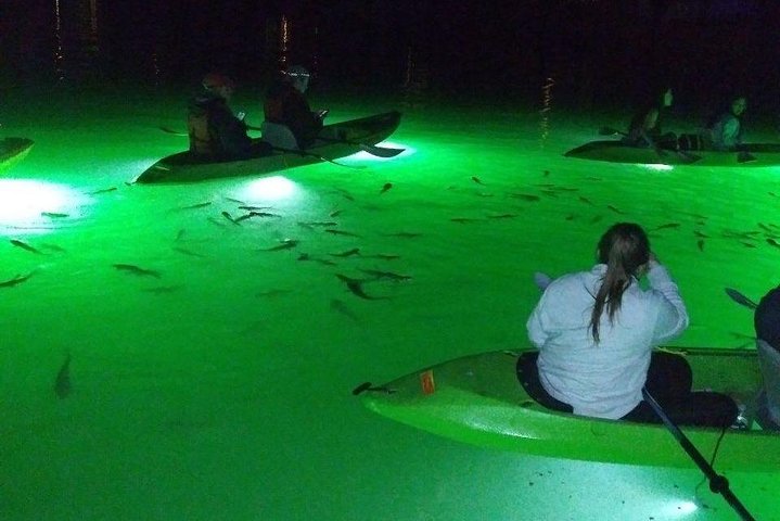 LED Illuminated Night Tours On Glass Bottom Kayaks - thumb 1