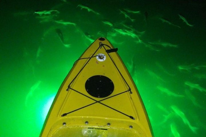 LED Illuminated Night Tours On Glass Bottom Kayaks - thumb 3