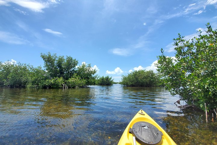 Kayak Tour Of Mangrove Maze From Key West - thumb 1