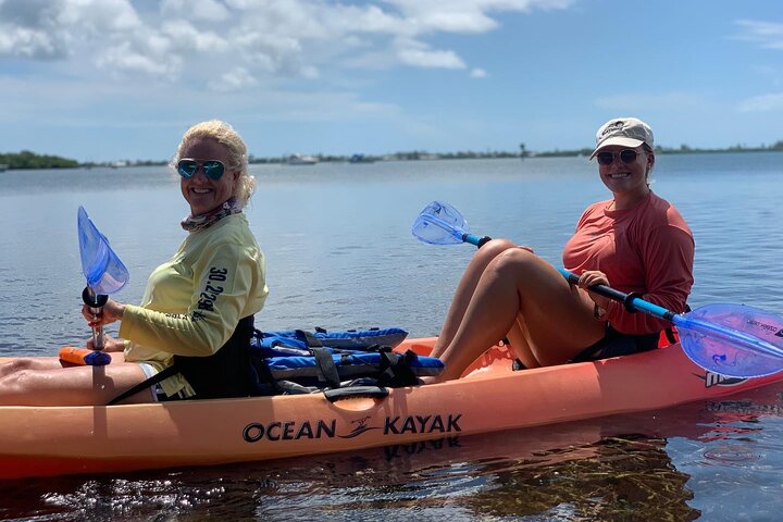 Kayak Tour Of Mangrove Maze From Key West - thumb 3