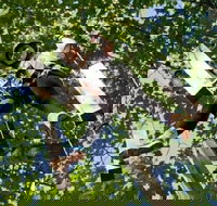 Fields of Fire Adventure Park Admission Ticket - Accommodation Philadelphia