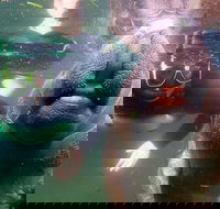 Private Manatee Tour - Accommodation Philadelphia