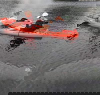 4 Hour Single Kayak Rental In Crystal River Florida - Accommodation Philadelphia