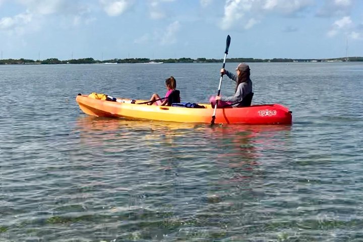 Private Tour: Experience The Best Of The Upper Florida Keys - thumb 0