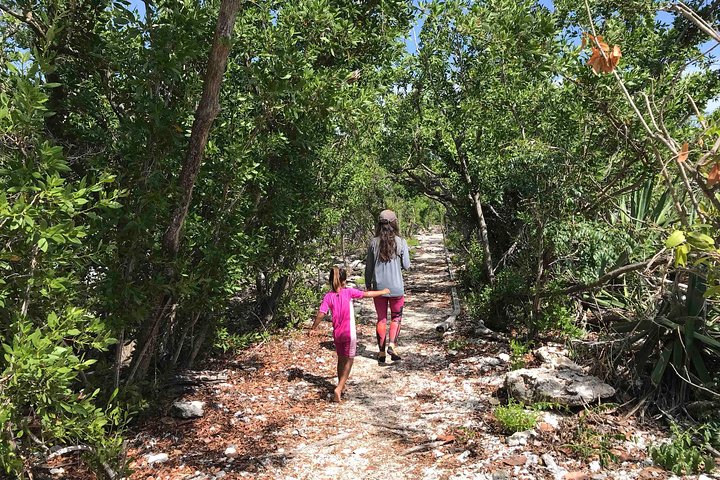 Private Tour: Experience The Best Of The Upper Florida Keys - thumb 1