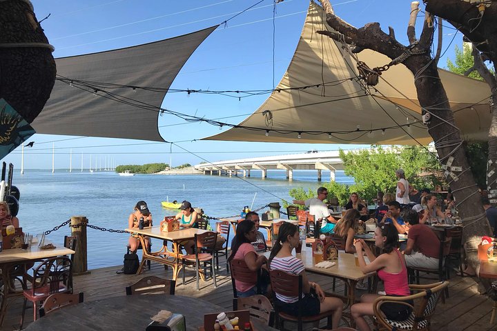 Private Tour: Experience The Best Of The Upper Florida Keys - thumb 3