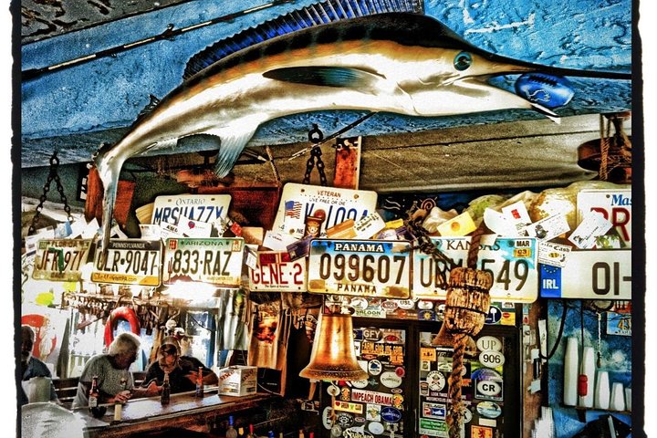 Private Tour: Experience The Best Of The Upper Florida Keys - thumb 5