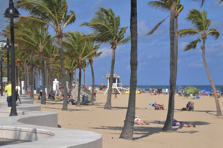 Arrival Private Transfer: Airport FLL To Hollywood Beach In Business Car - thumb 5