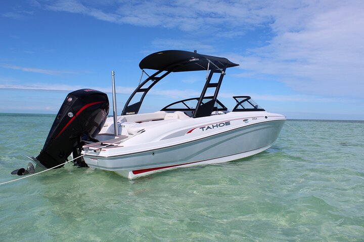 Private Half-Day Sandbar Charter With A Licensed Guide - thumb 1
