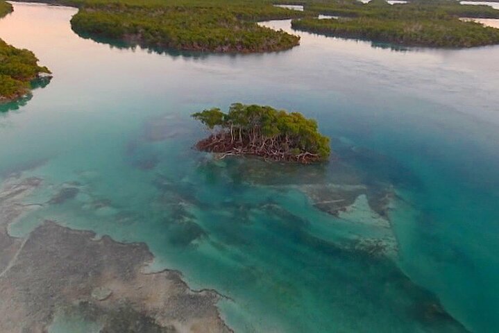 Private Half-Day Sandbar Charter With A Licensed Guide - thumb 3