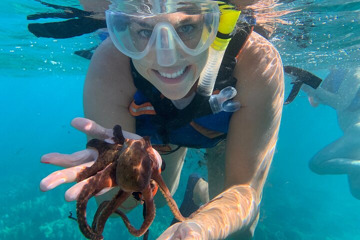 E-Scooter Snorkel With Photo And Video At Turtle Town - thumb 1