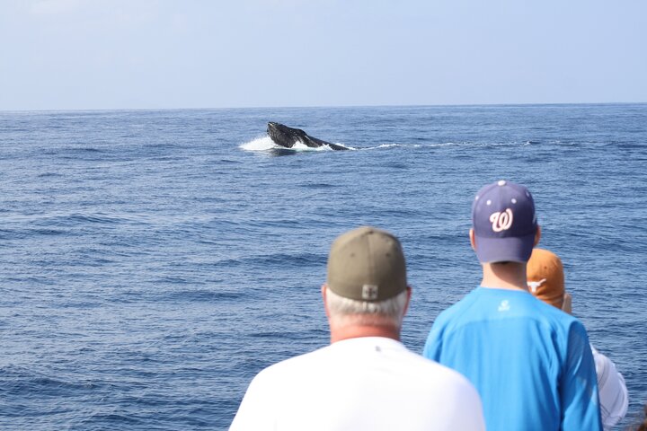 'IMILOA - Express Whale Watch Cocktail Tour - thumb 2