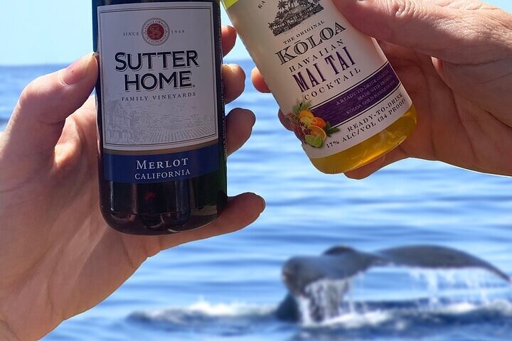 'IMILOA - Express Whale Watch Cocktail Tour - thumb 3