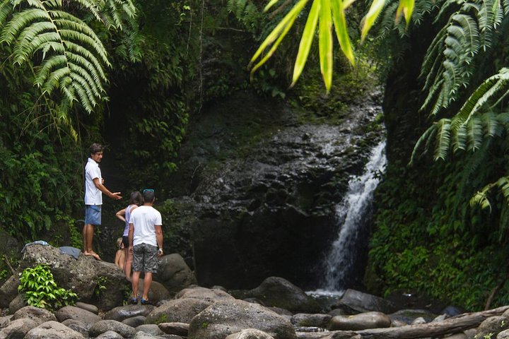 Oahu Friendly Hiking Experience - thumb 1