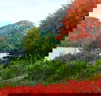 Narrated Bus Tour of Bar Harbor and Acadia National Park Classic - 2.5 Hours - Accommodation Philadelphia