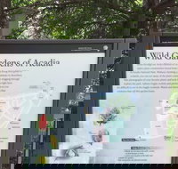 Premium Narrated Bus Tour of Bar Harbor and Acadia National Park 3.5 Hours - Accommodation Philadelphia