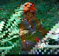 Fully Guided Zipline Canopy Tour through Kentucky River Palisades - Accommodation Philadelphia