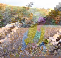 Guided Foraging - Mushroom Hunting Experiences - Accommodation Philadelphia