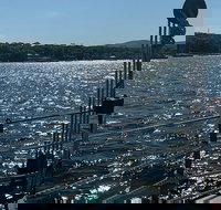 Windjammer Classic Day Sail - Accommodation Philadelphia