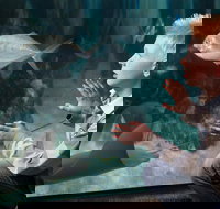 SEA LIFE Michigan Aquarium Admission Ticket - Accommodation Philadelphia