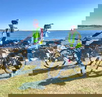 3.5hrs Coastal Tour Visit the Coastline Tucked Away Seaside Villages Mansions - Accommodation Philadelphia