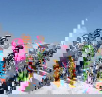 Big Sky Premium Snowboard Rental Including Delivery - Accommodation Philadelphia