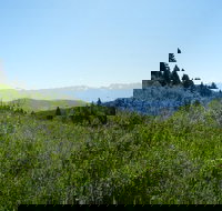 Hike to Chimney Rock with an Enthusiastic Tour Guide - Accommodation Philadelphia