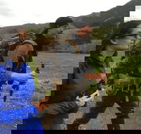 Sundowner Grizzly Excursion Tour - Accommodation Philadelphia