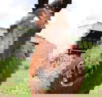 Keep Calm and Brush On - Accommodation Philadelphia