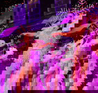 Branson's Christmas Wonderland - Accommodation Philadelphia