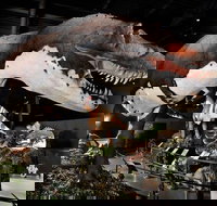 Branson Dinosaur Museum Admission Ticket - Accommodation Philadelphia