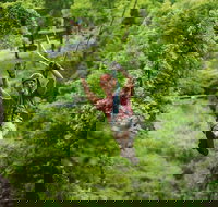 Zipline Canopy Tour in Branson - Accommodation Philadelphia