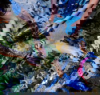 SEA LIFE Kansas City Aquarium Admission Ticket - Accommodation Philadelphia