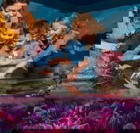 SEA LIFE New Jersey at American Dream - Accommodation Philadelphia