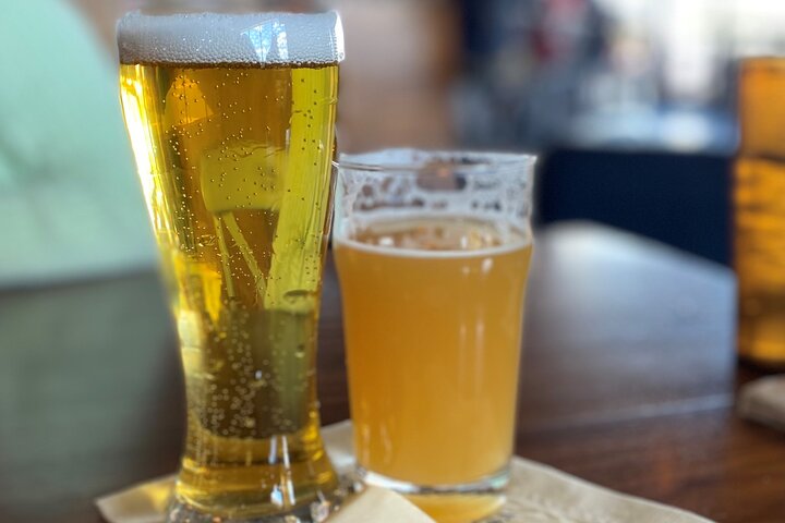 ABQ Beer Tour: A Curated Craft Beer Experience In The Land Of Enchantment - thumb 2