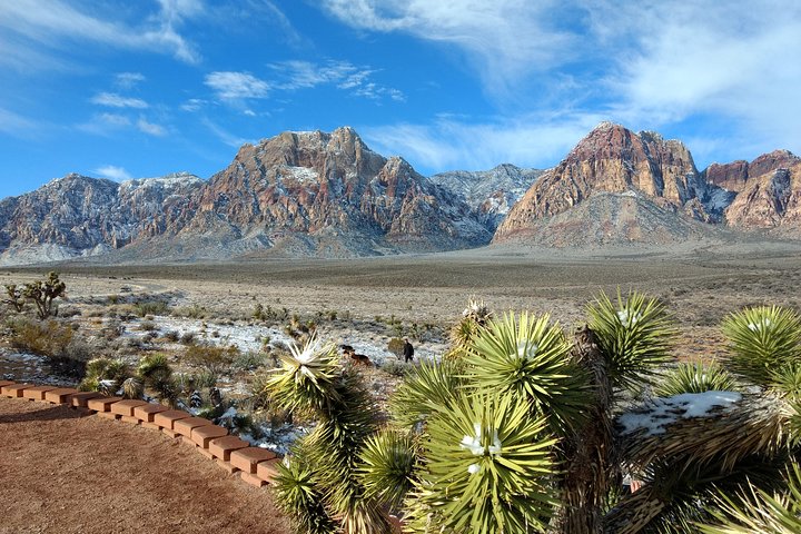 Red Rock Canyon & Death Valley Photo Expedition From Las Vegas - thumb 5