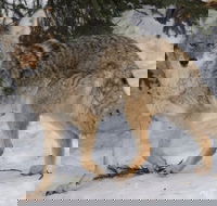 Summer All-In-One - Accommodation Philadelphia