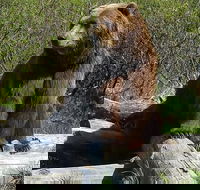 Alaska Wildlife Visit 1-hr. Glacier Cruise Adventure  Anchorage City Tour - Accommodation Philadelphia