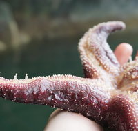 Alaska Ocean Wilderness Expedition - Accommodation Philadelphia