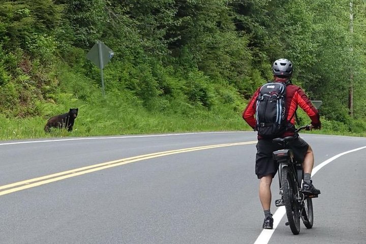 Ketchikan Electric Bike And Rain Forest Hike Ecotour - thumb 1